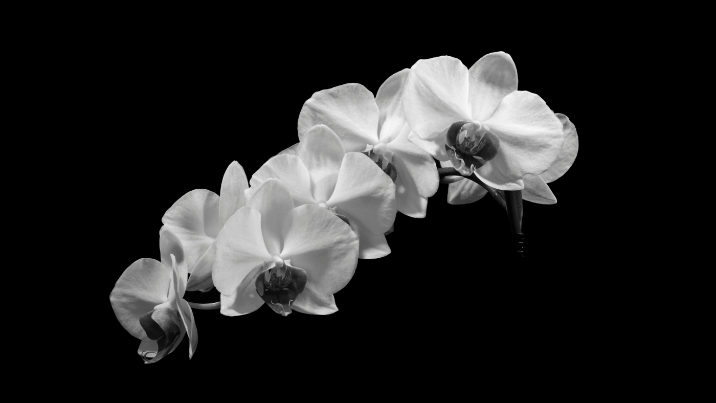 HKU Mourns the Passing of Mr Ng Hong-mun, GBM