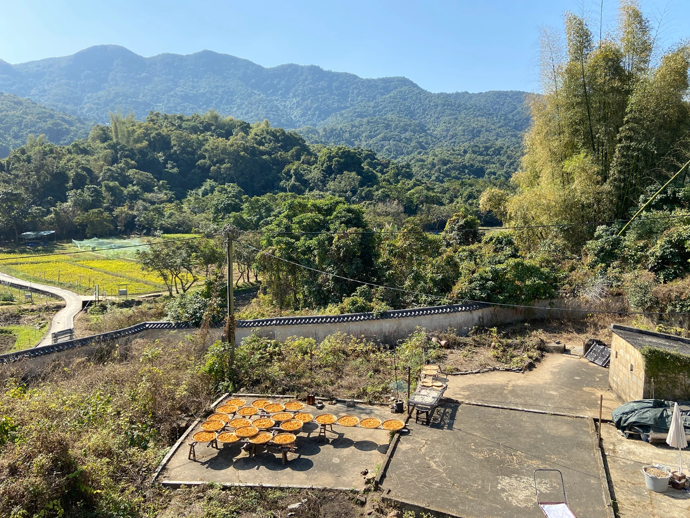 HKU’s “HSBC Rural Sustainability Programme” wins UN-Habitat Asian Townscape Award