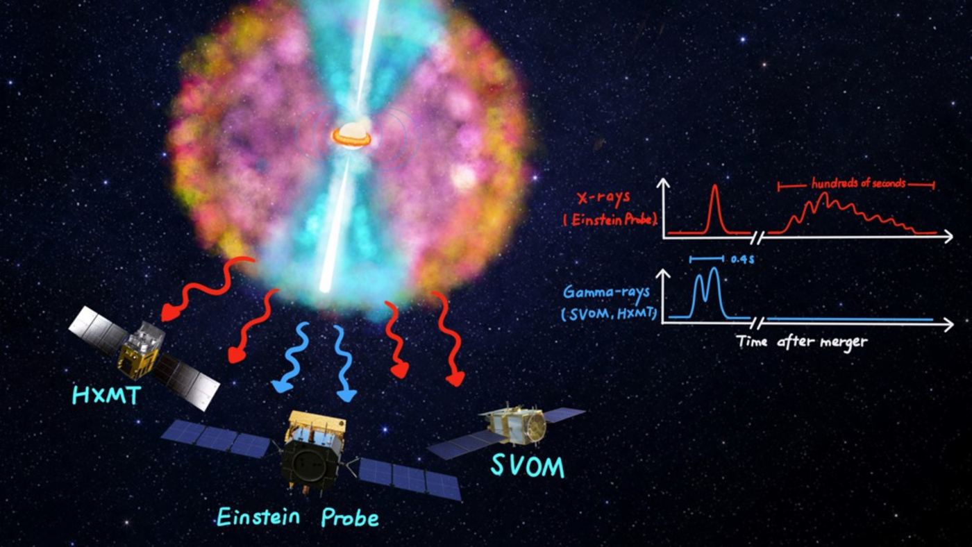 When Stars Collide: New Study Reveals Previously Hidden Phase of Compact Star Mergers
