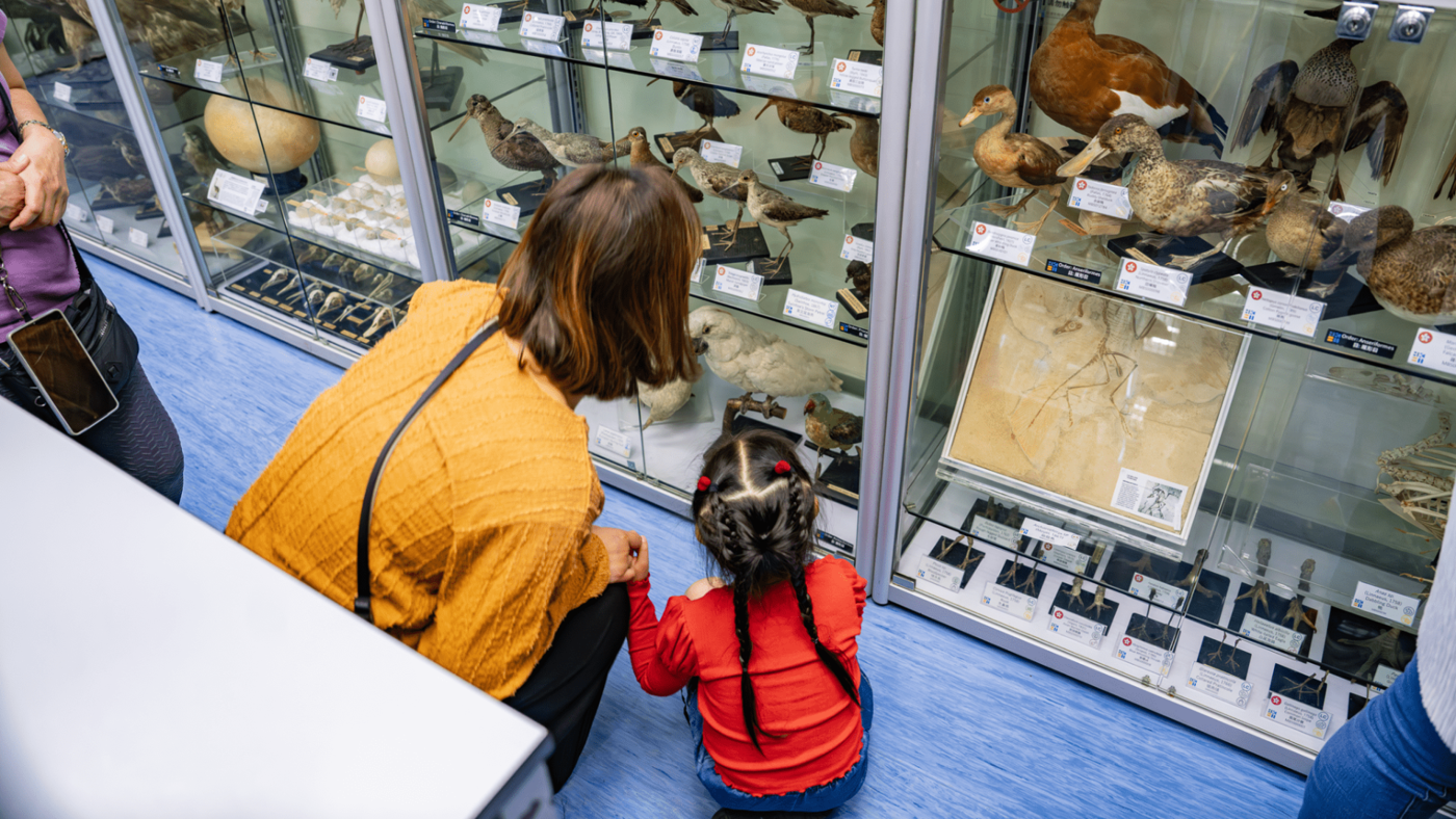 Visitors explore the Hong Kong Biodiversity Museum.