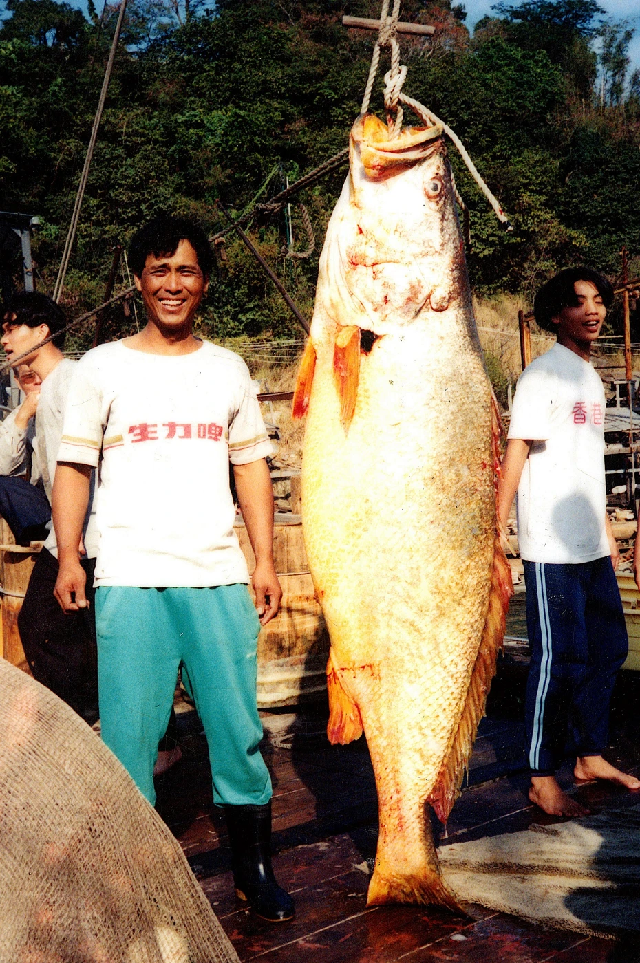 HKU and international researchers promote marine fisheries reform in China - view ocean management as next front for China to compete as global sustainability leaders