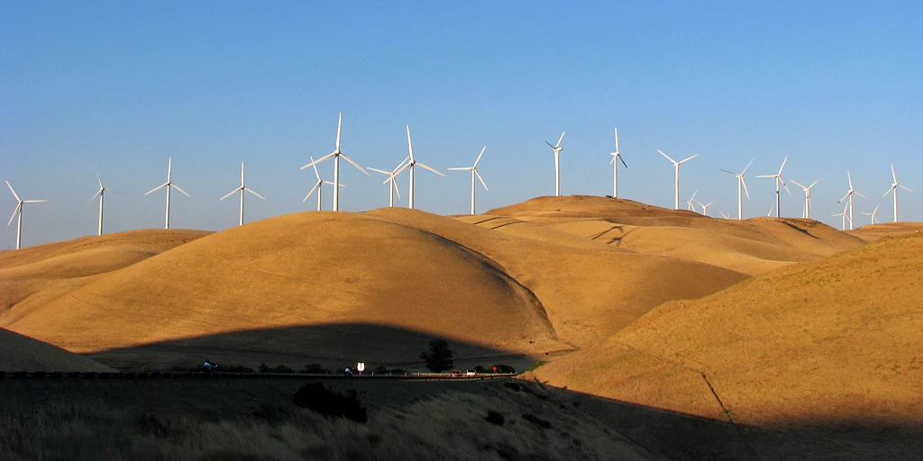 The 5400 wind turbines at Altamont Pass Wind Resource Area in California make it one of the largest wind farms in the world. However, it is estimated to cause thousands of bird deaths every year - including 67 golden eagles (Aquila chrysaetos).  Credit: Steve Boland
