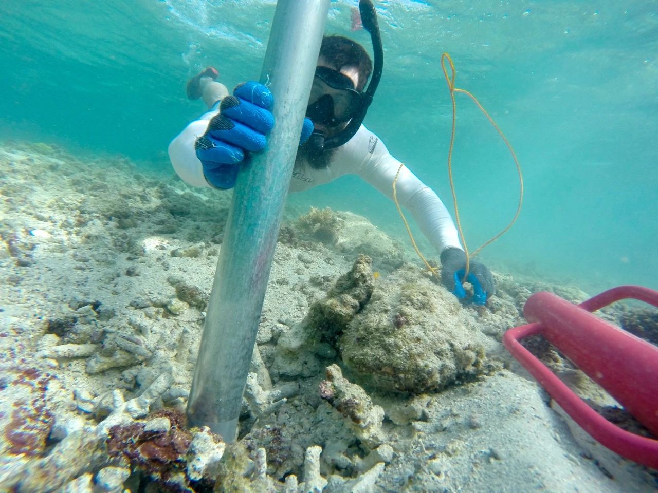 Cybulski collecting a “fossil time machine” or coral reef sediment core.
 (Photo credit: Dr Kiho Kim)