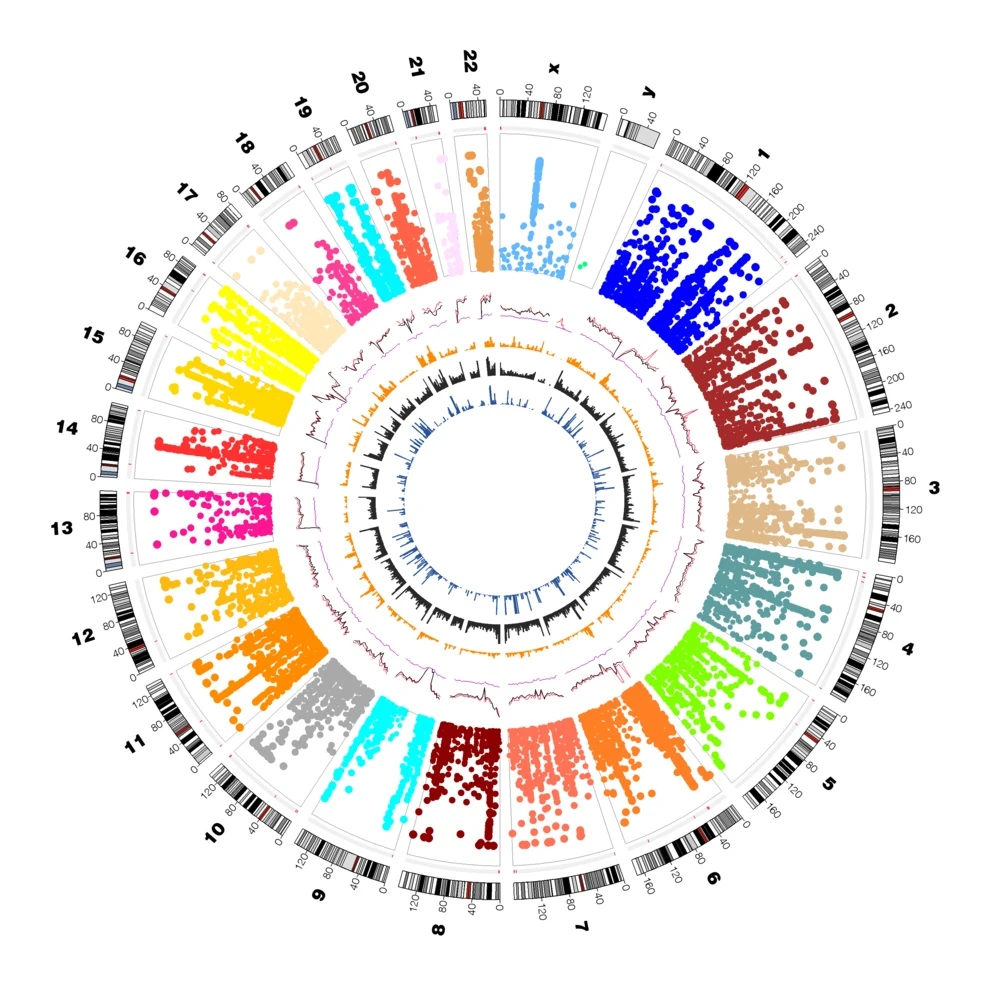 The international collaboration of HKU team finds that selecting genetically supported drug-targets can double the success rate in drug clinical development