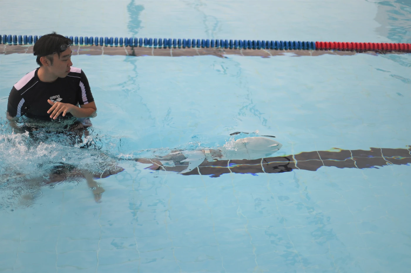 HKU Engineering student team developed robotic fish sets World Record for the second time