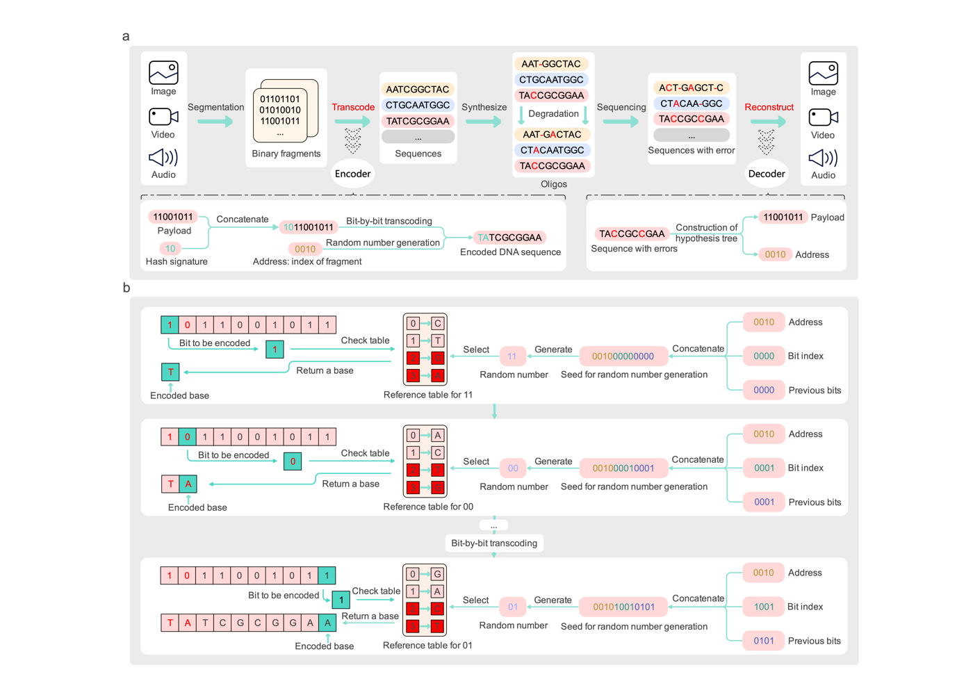HKU researchers develop blockchain-inspired Gungnir codec for long-term DNA data storage